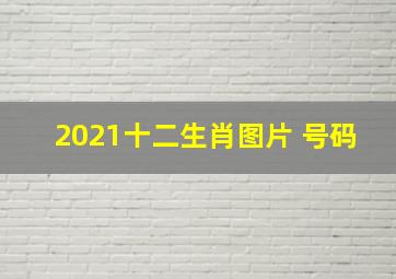 2021十二生肖图片 号码